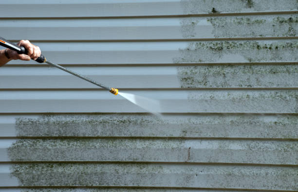 Best Driveway Pressure Washing  in West Carthage, NY