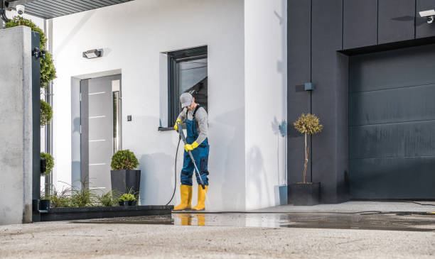 Best Solar Panel Cleaning  in West Carthage, NY